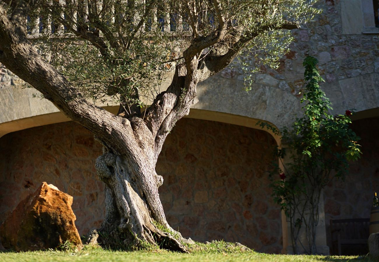 Finca en Pollensa / Pollença - CAL XINO LLOP