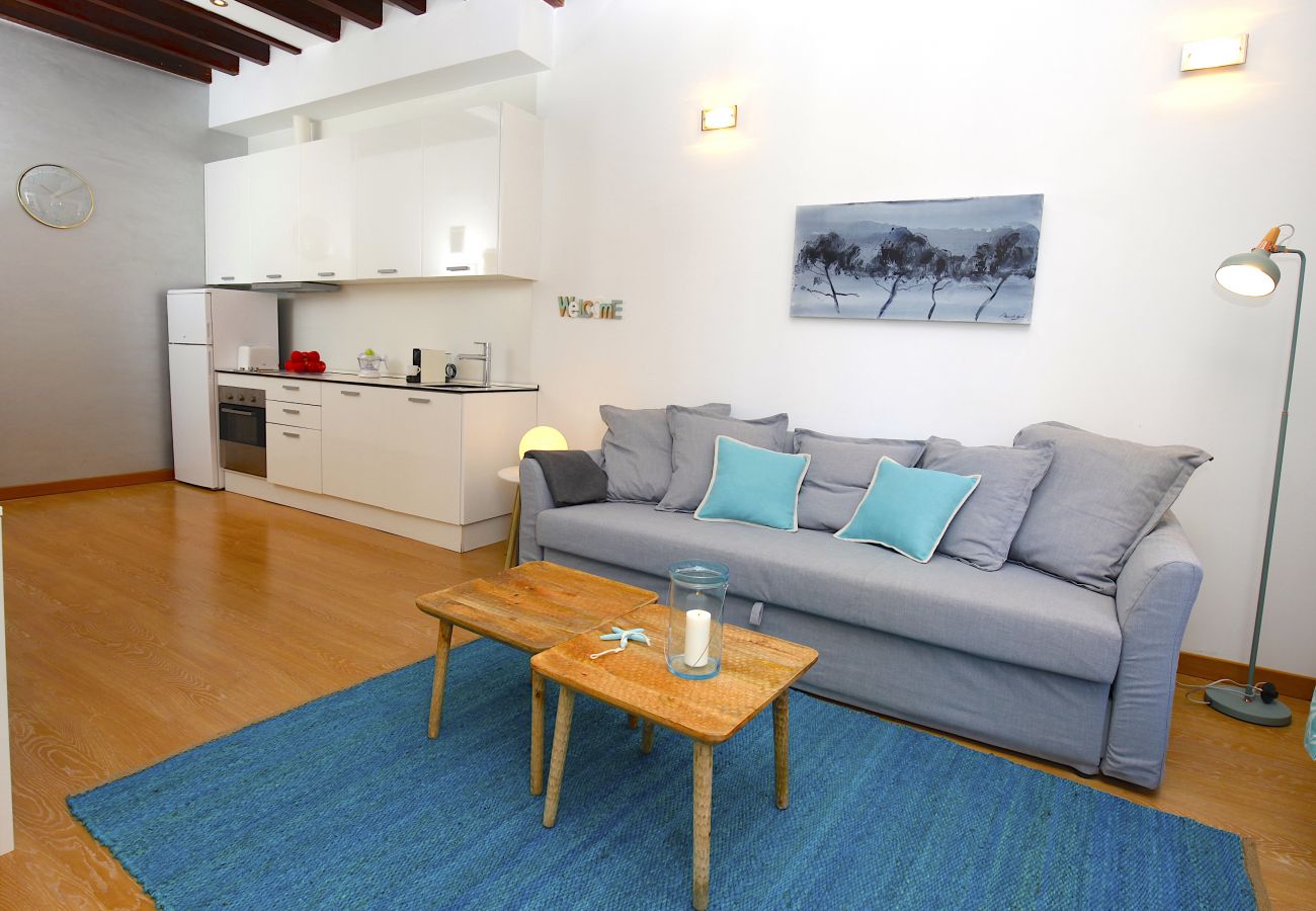 Apartamento en Palma de Mallorca - Sant Miquel Homes Es Trenc