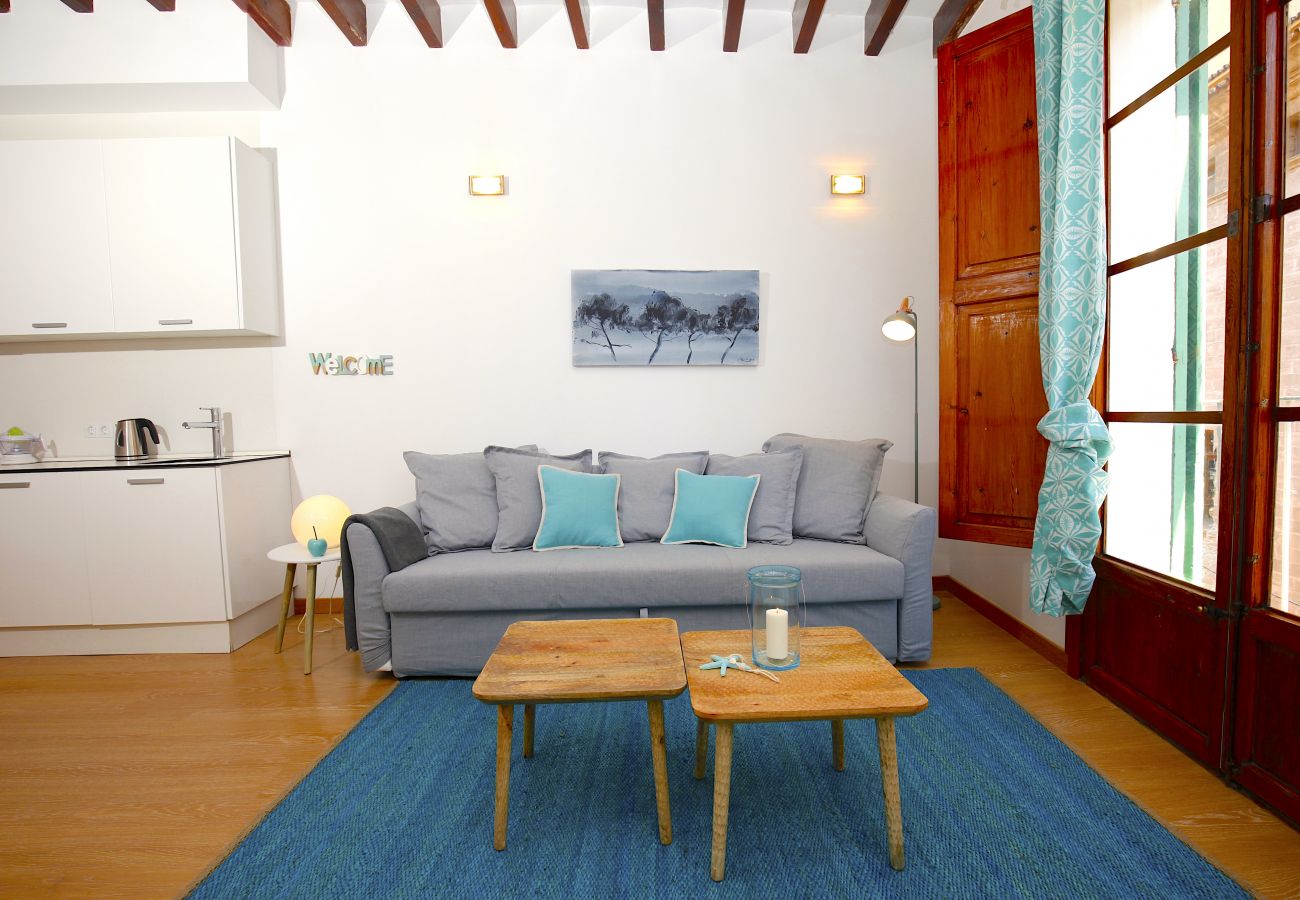 Apartamento en Palma de Mallorca - Sant Miquel Homes Es Trenc