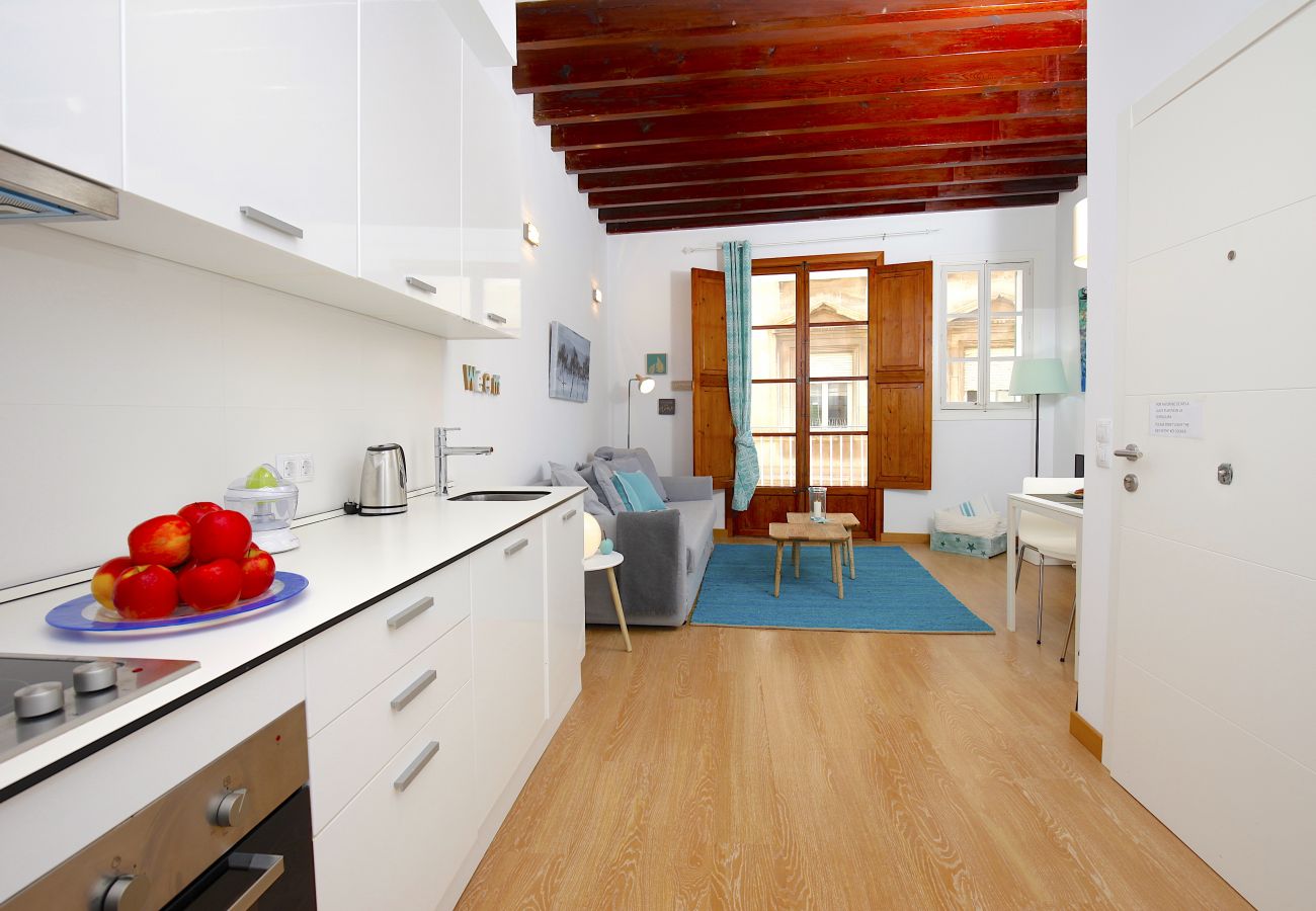 Apartamento en Palma de Mallorca - Sant Miquel Homes Es Trenc