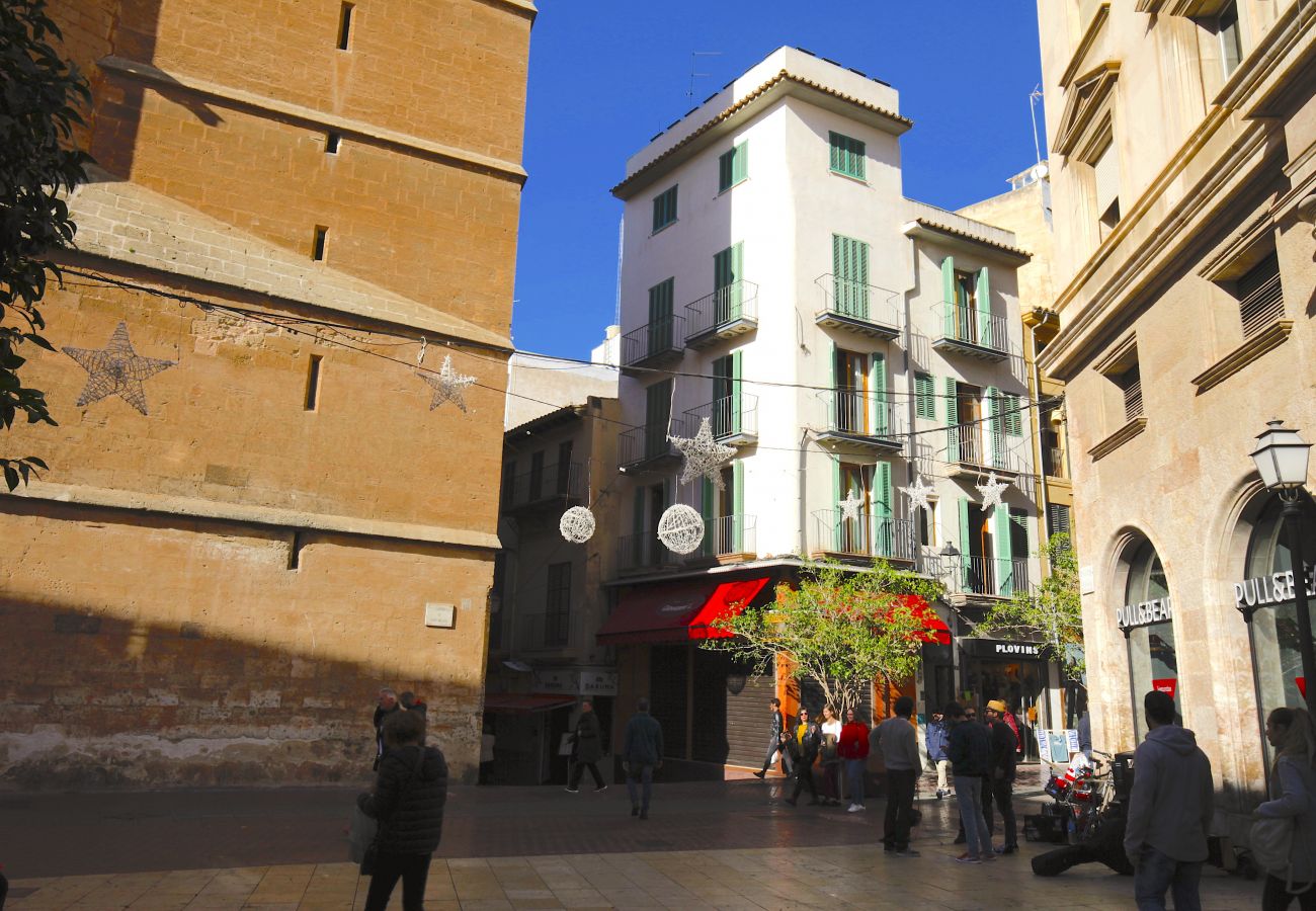 Apartamento en Palma de Mallorca - Sant Miquel Homes Es Trenc