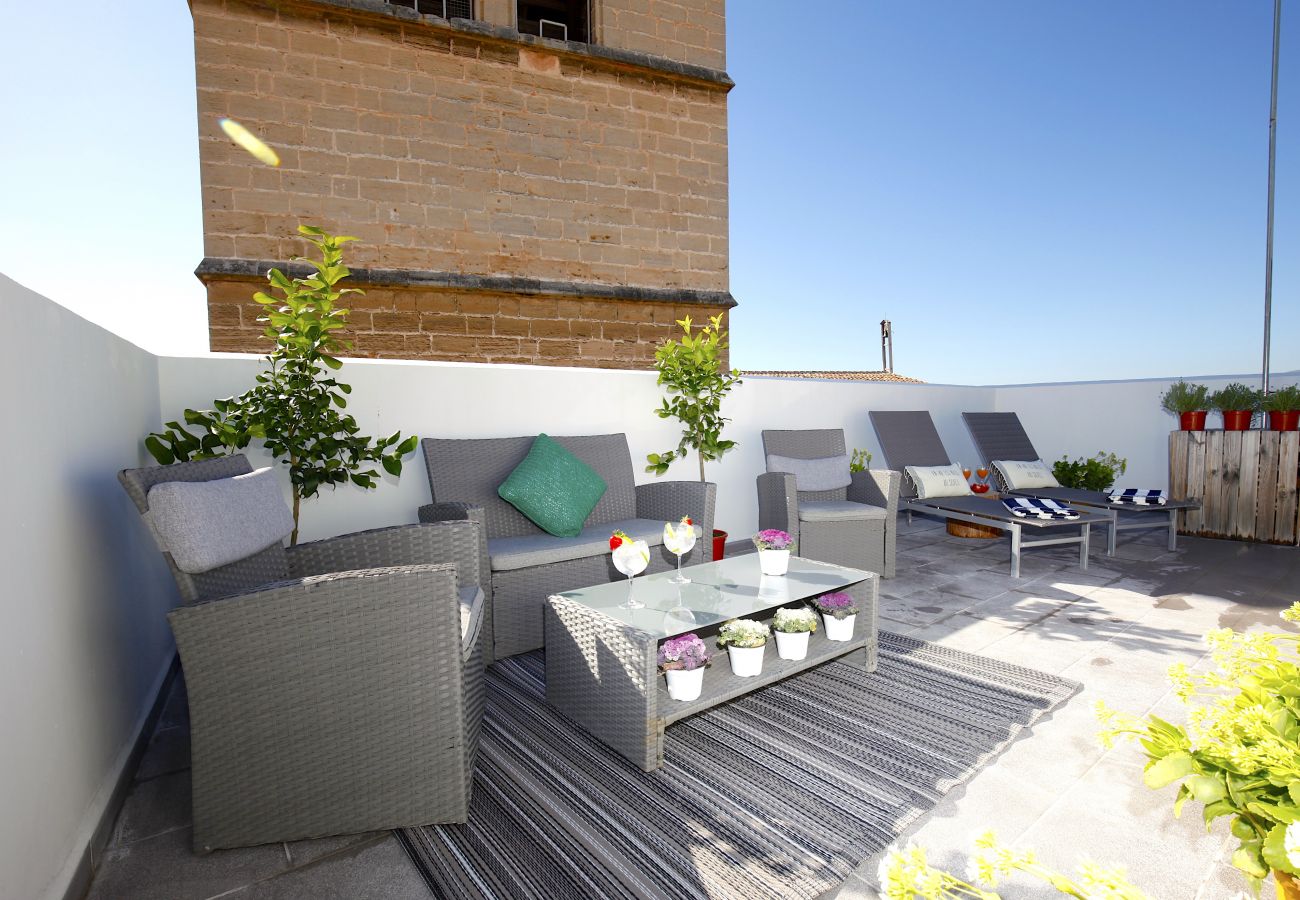 Apartamento en Palma de Mallorca - Sant Miquel Homes Penthouse