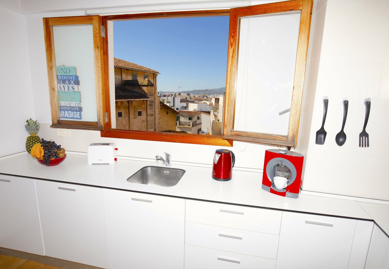 Apartamento en Palma de Mallorca - Sant Miquel Homes Penthouse