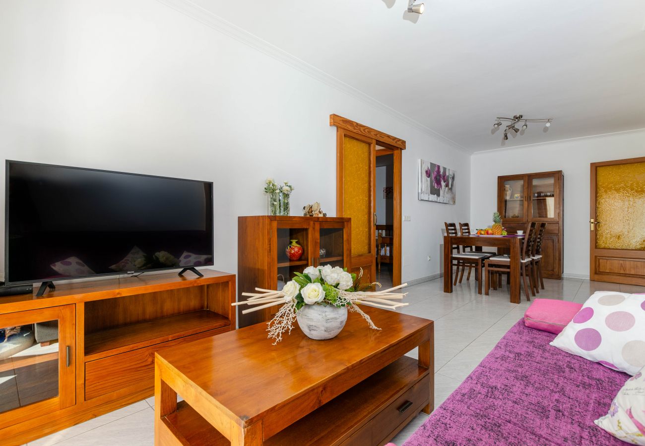 Apartamento en Puerto de Alcudia - YourHouse Cimbell 3