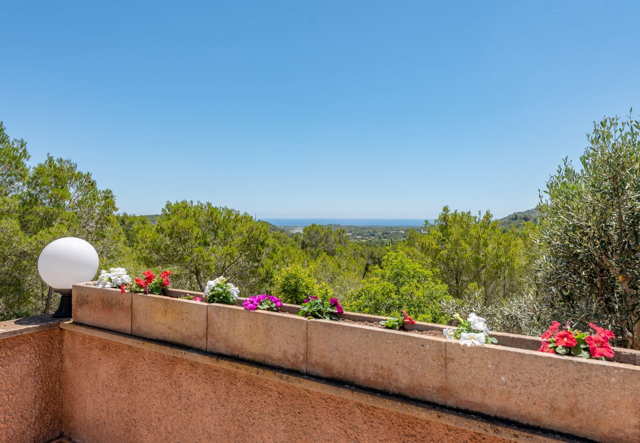 Casa en Portocolom - Finca Bosc de Can Alou