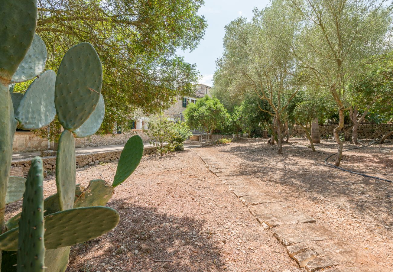 Villa en Manacor - Finca Es Rafalot de Dalt