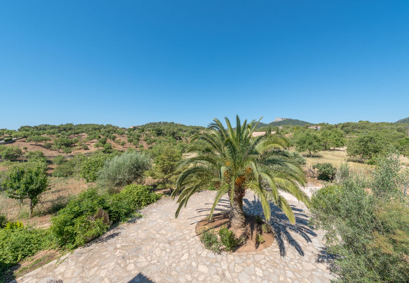 Villa en Portocolom - Finca Es Reguerons Gran