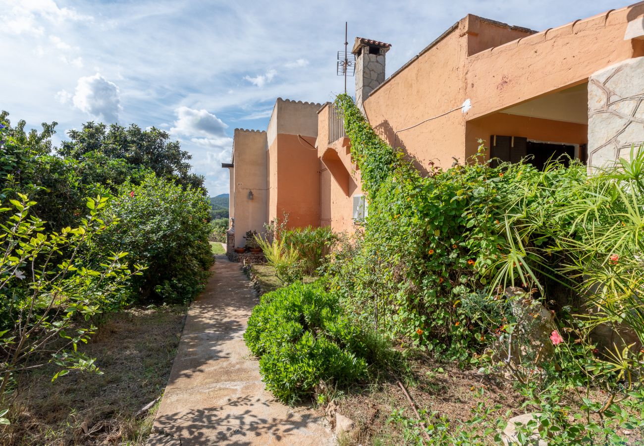 Casa en Manacor - Finca Sa Bassa Seca