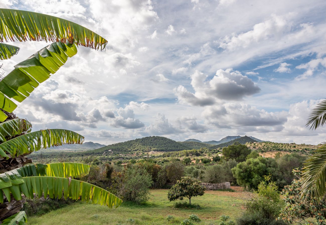 Casa en Manacor - Finca Sa Bassa Seca