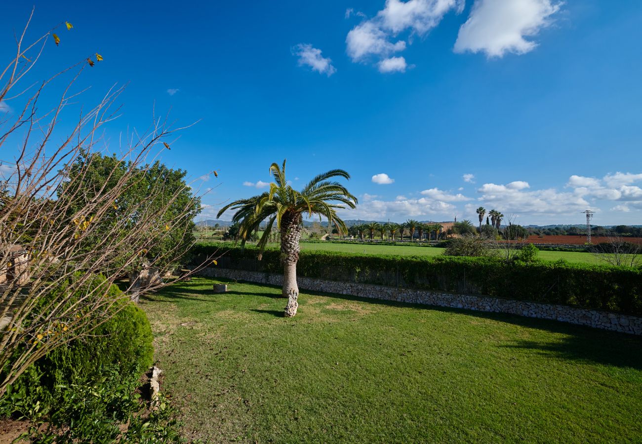 Casa rural en Felanitx - Finca Son Oliver