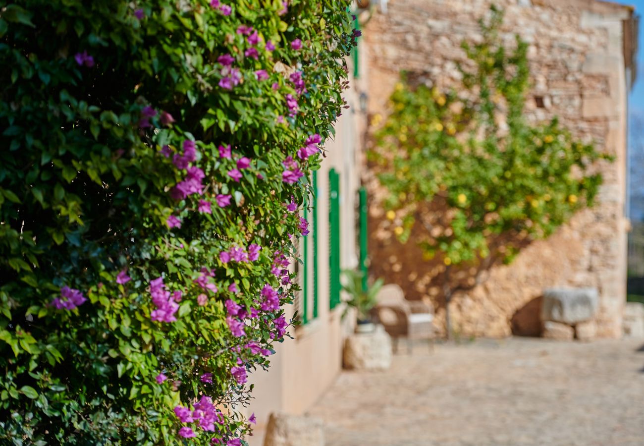 Casa rural en Felanitx - Finca Son Oliver