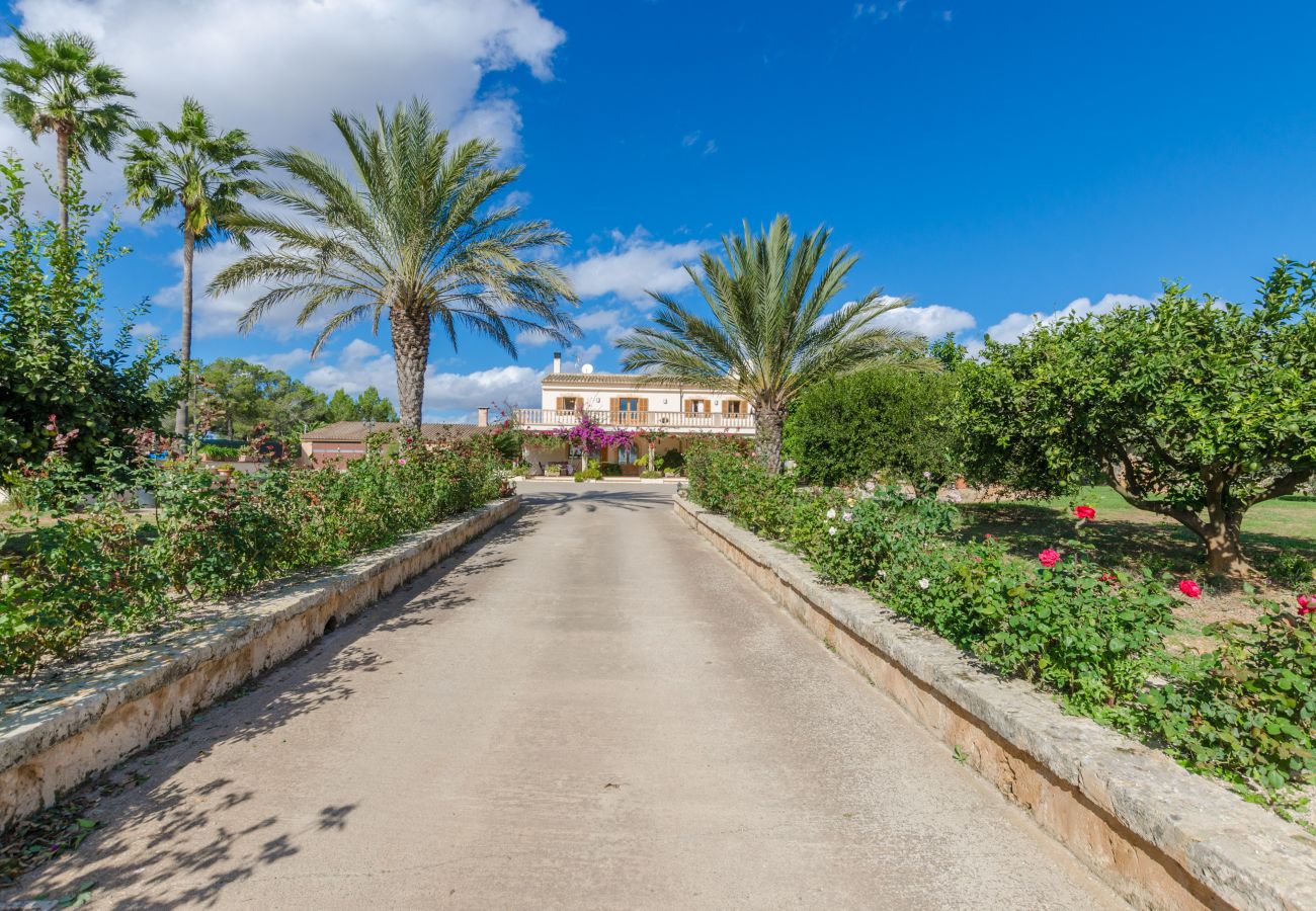 Villa en Ariany - YourHouse Sa Garriga Finca Darder