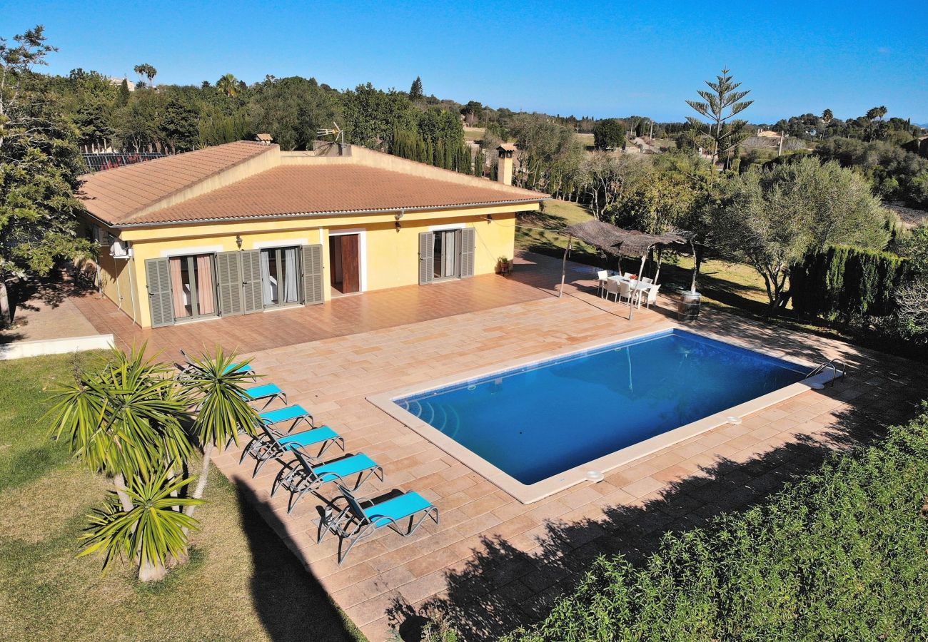 chalet, mallorca, alcudia, piscina. 