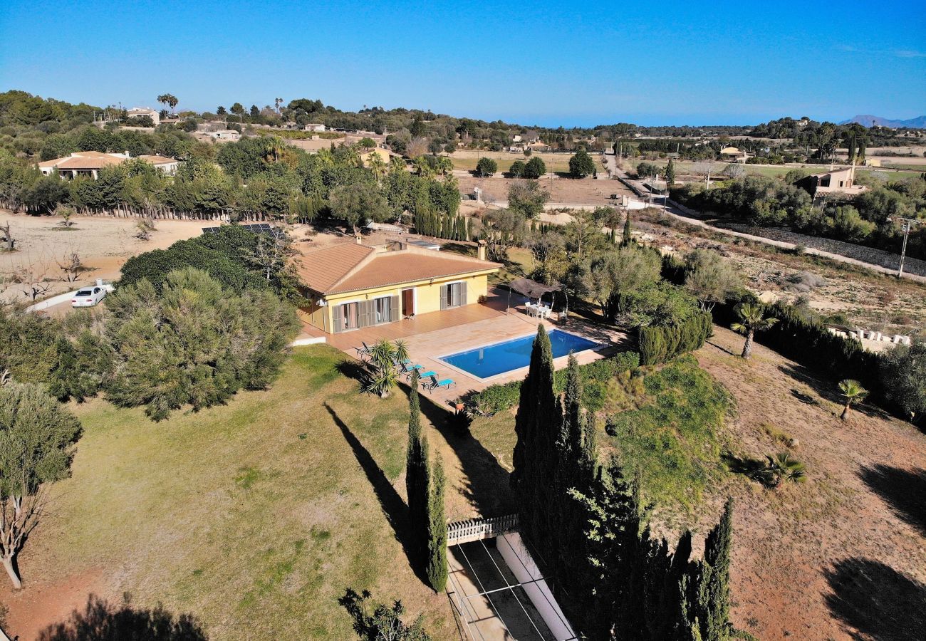 chalet, mallorca, alcudia, piscina. 