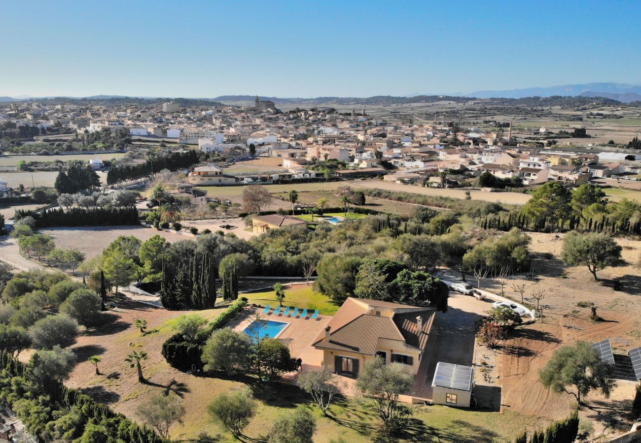 chalet, mallorca, alcudia, piscina. 