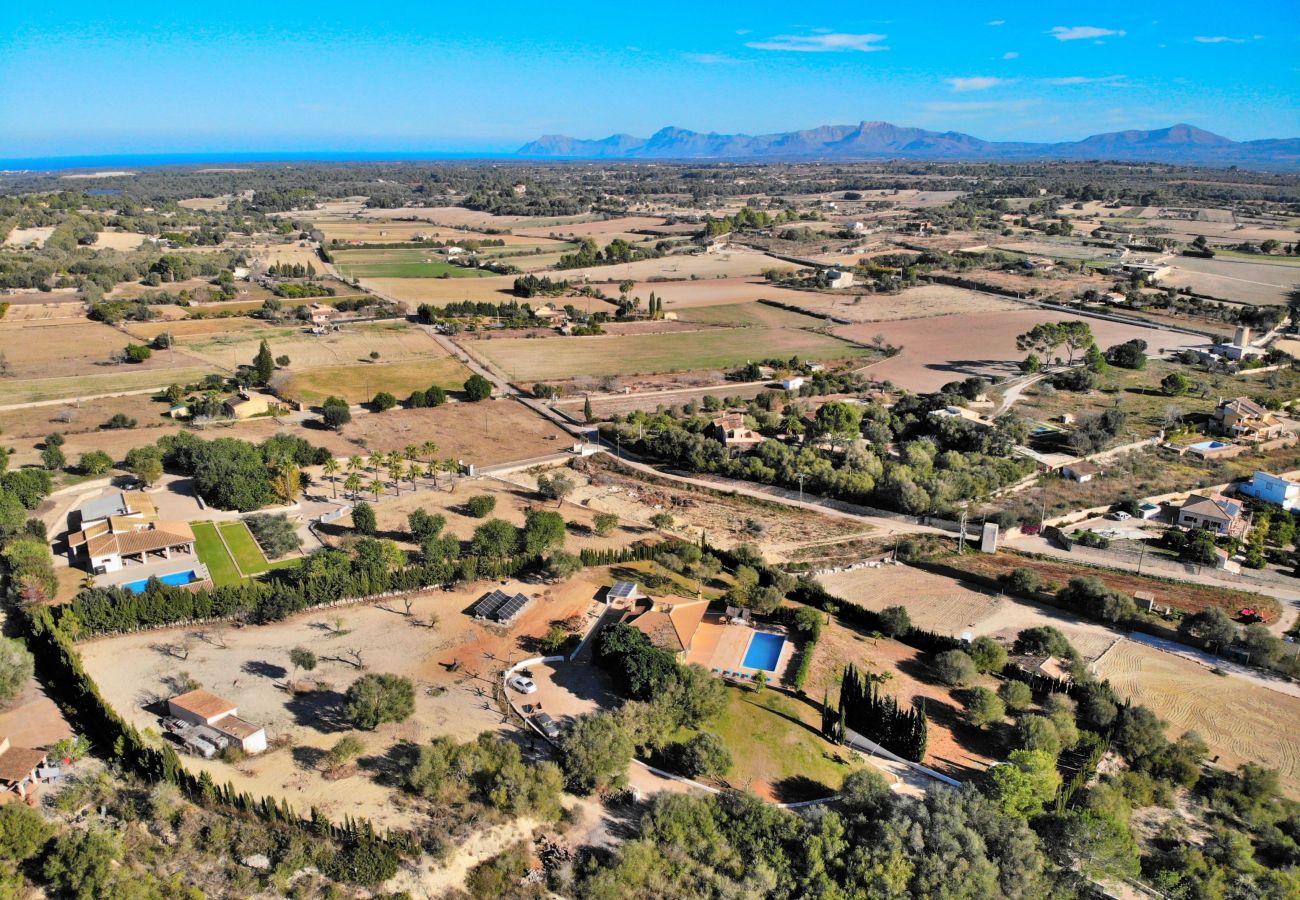 chalet, mallorca, alcudia, piscina. 