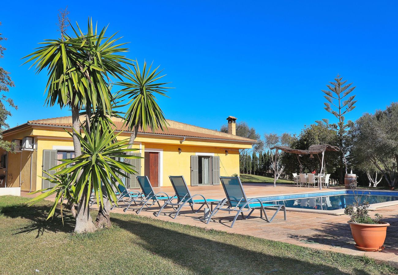 Chalet con piscina y jardín, mallorca, alcudia. 