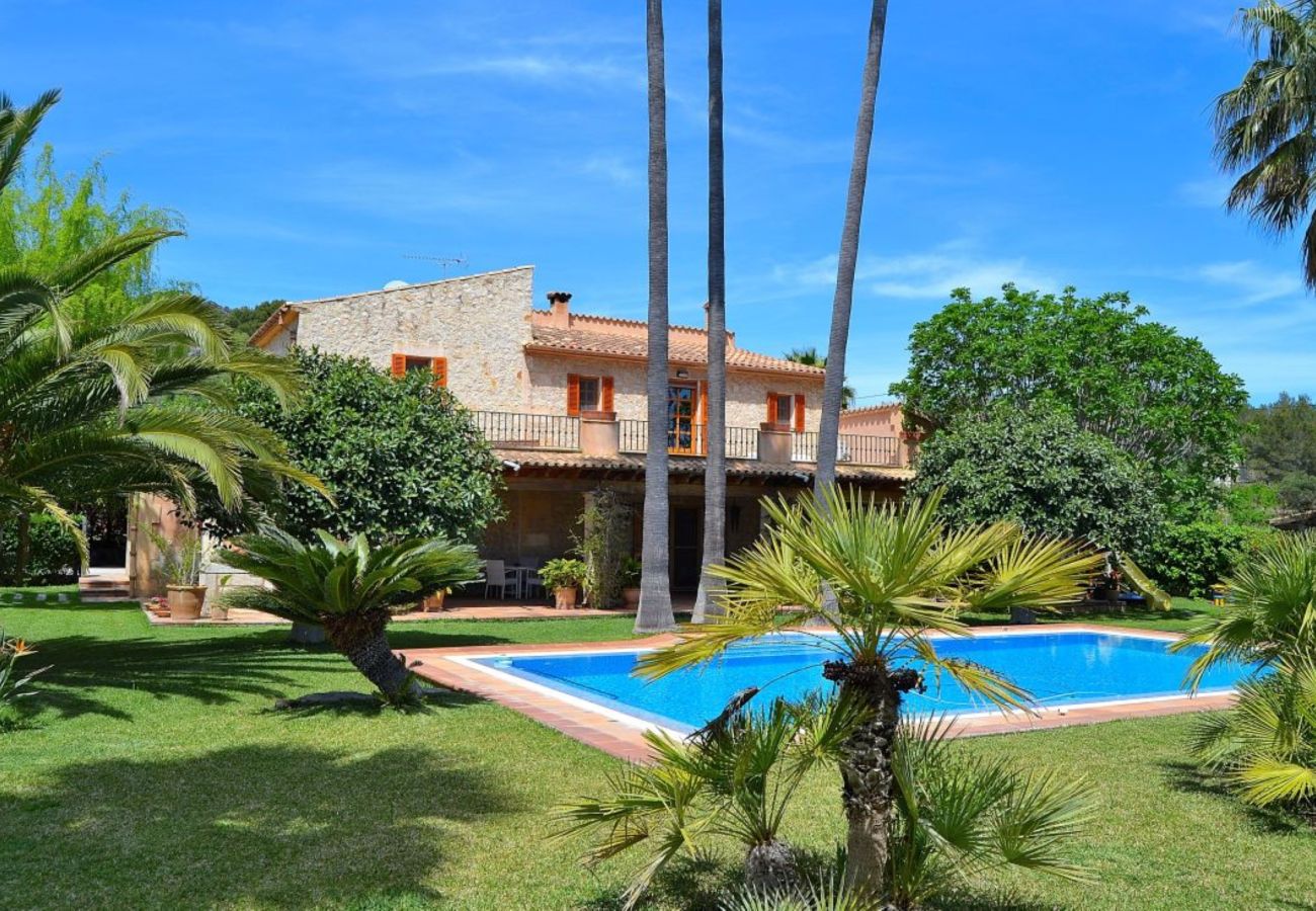 jardin verde, piscina, villa, Mallorca, grande