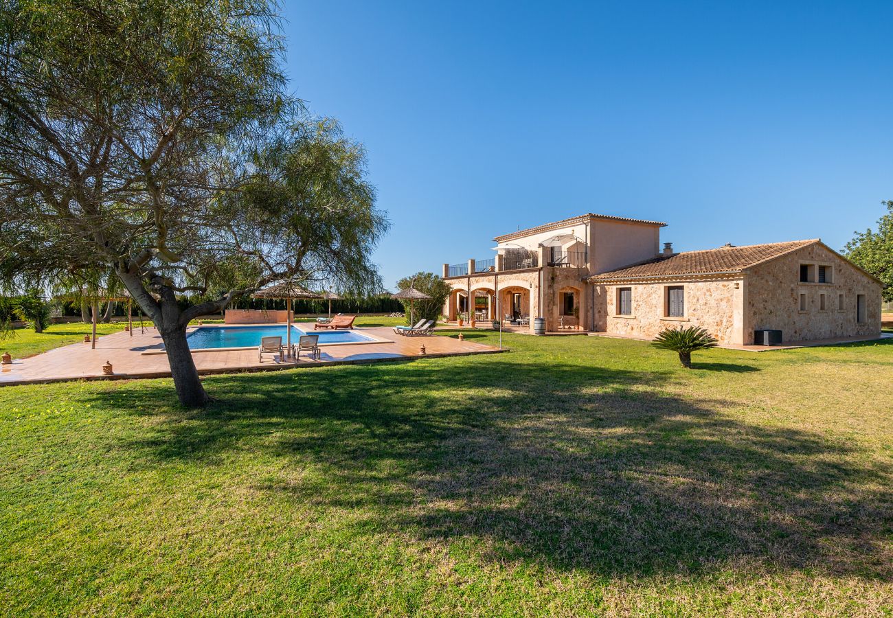 Villa en Llucmajor - Sol y Vida - Agroturismo Son Sampoli