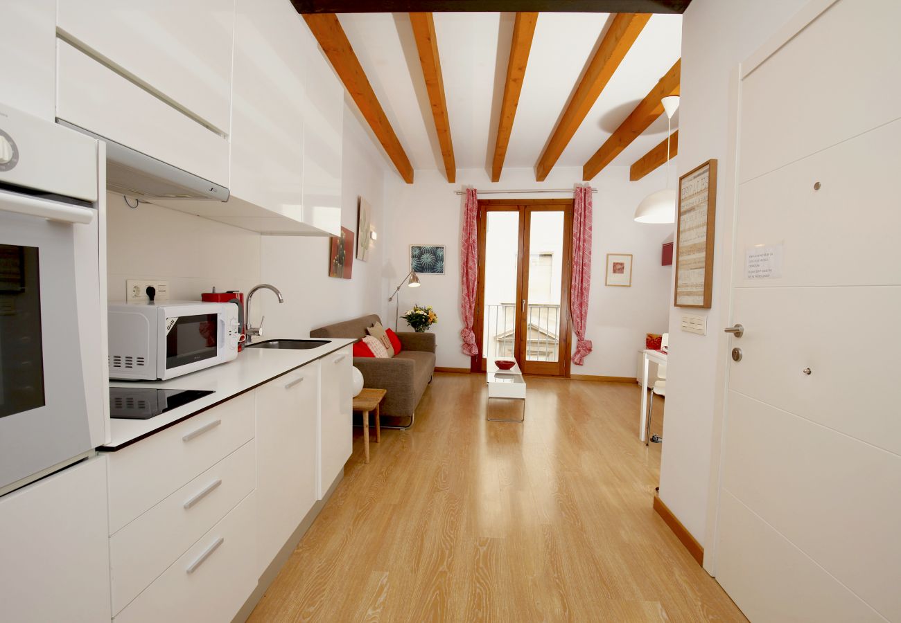 Ferienwohnung in Palma de Mallorca - Sant Miquel Homes Dragonera