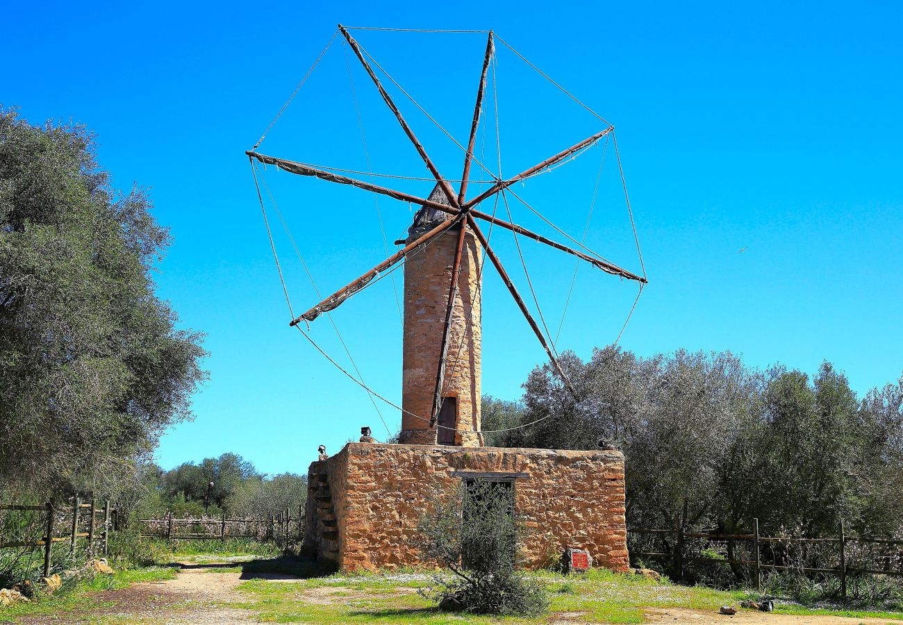 Ländliches Haus auf Mallorca für Ferien