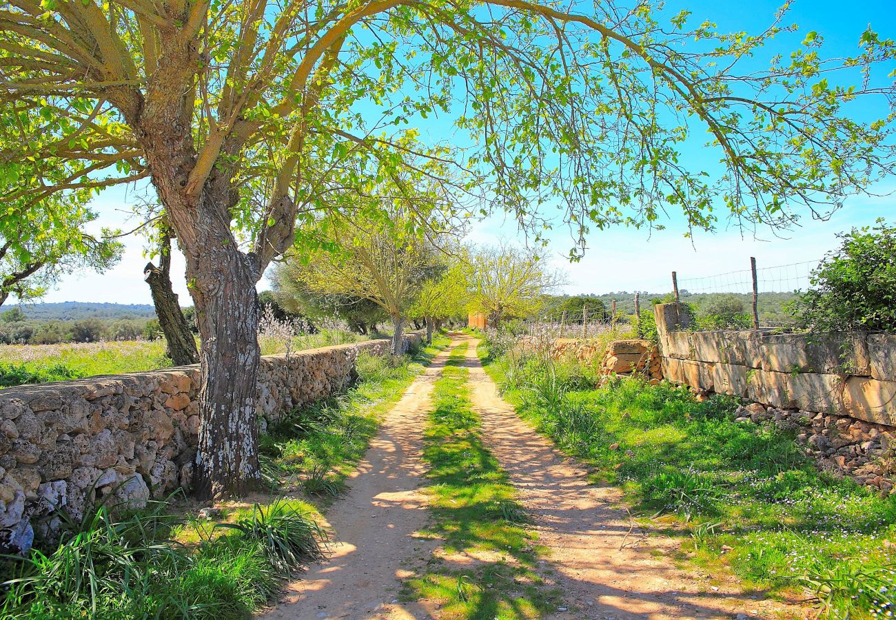 Finca in Son Serra de Marina - 235 Sa Cabaneta. S'original ETV/9570 by Mallorca