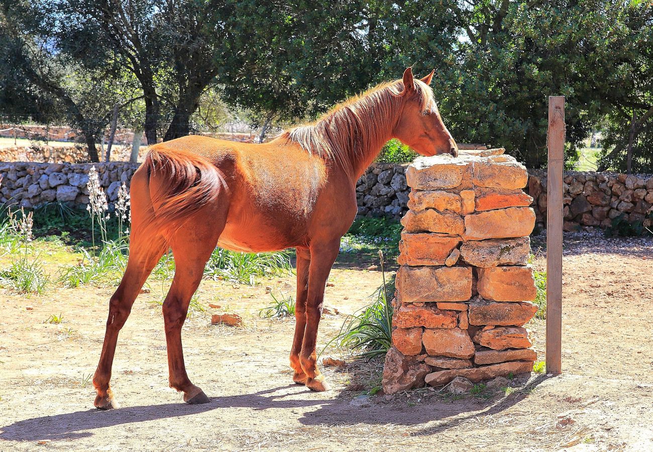 Finca in Son Serra de Marina - 235 Sa Cabaneta. S'original ETV/9570 by Mallorca