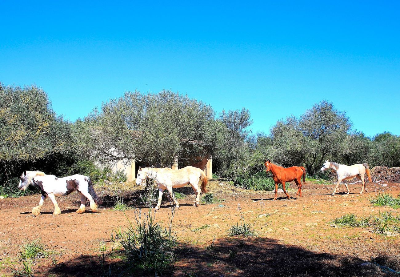 Finca in Son Serra de Marina - 235 Sa Cabaneta. S'original ETV/9570 by Mallorca