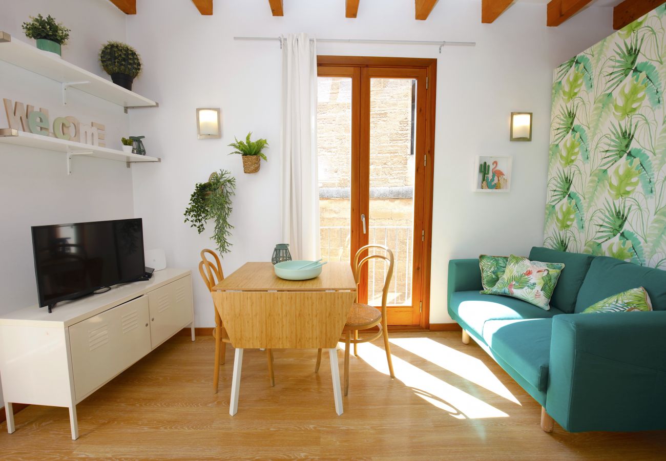 Ferienwohnung in Palma de Mallorca - Sant Miquel Homes Sa Calobra