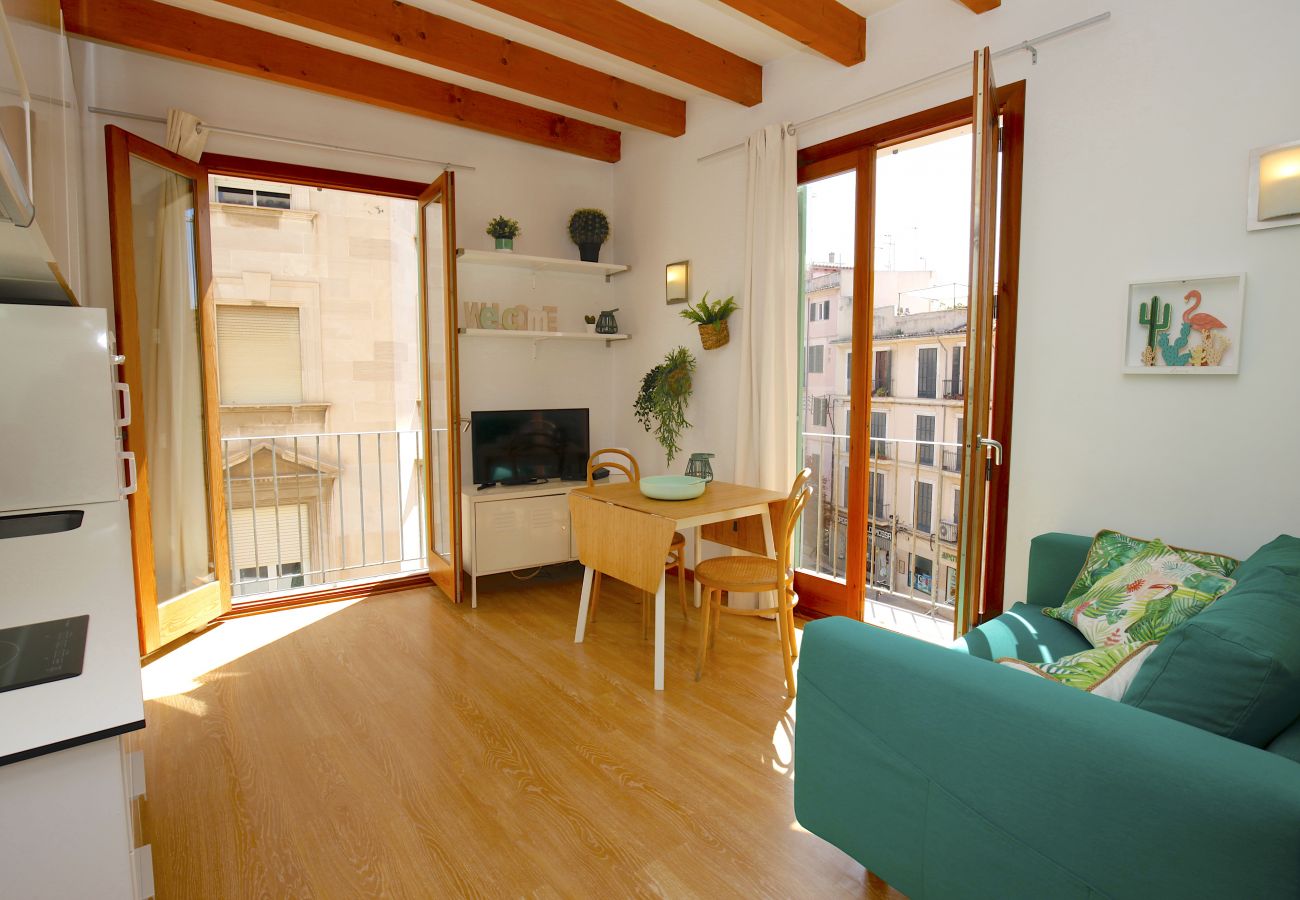 Ferienwohnung in Palma de Mallorca - Sant Miquel Homes Sa Calobra