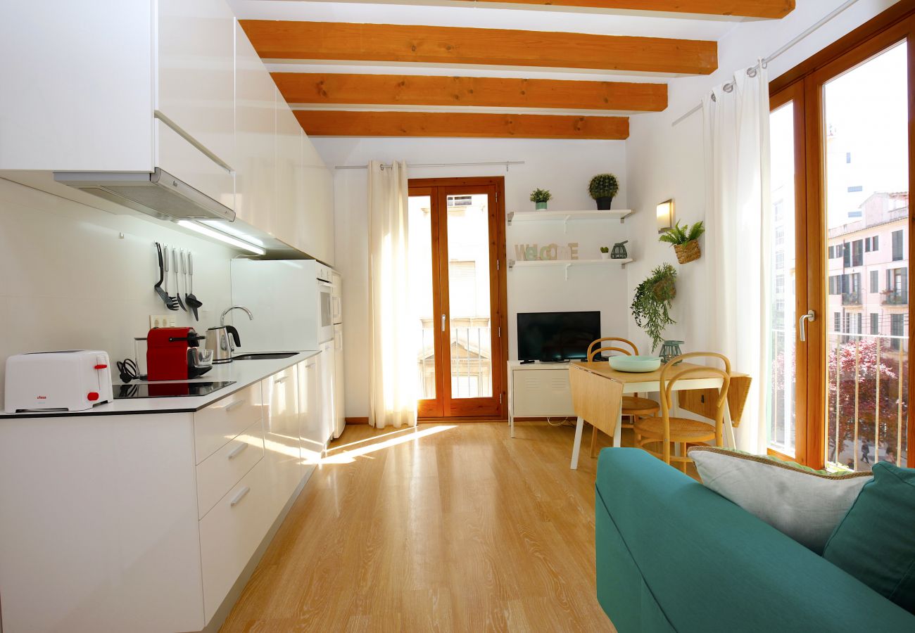 Ferienwohnung in Palma de Mallorca - Sant Miquel Homes Sa Calobra