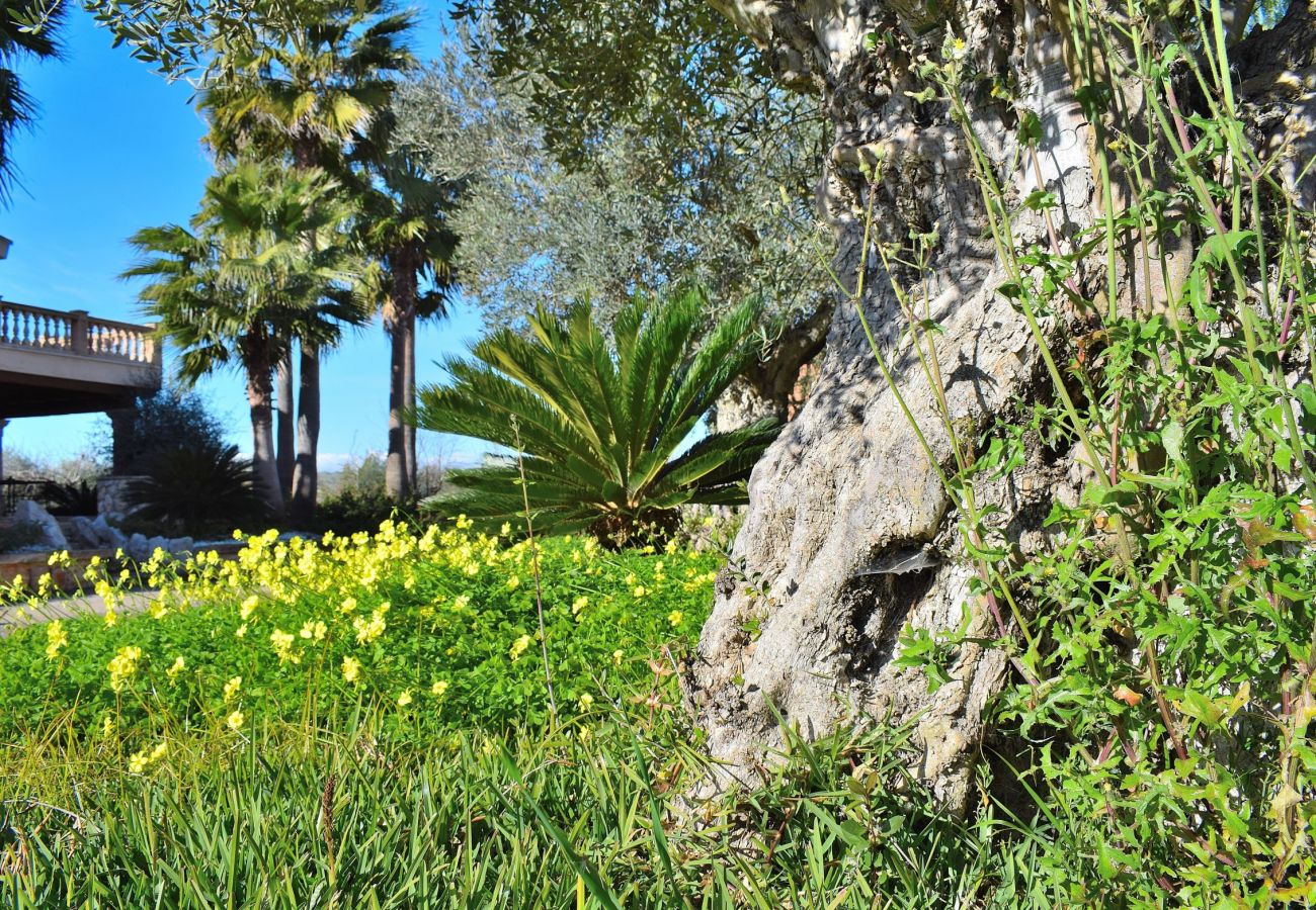 Die Villa in Sineu besteht aus einem großen Garten