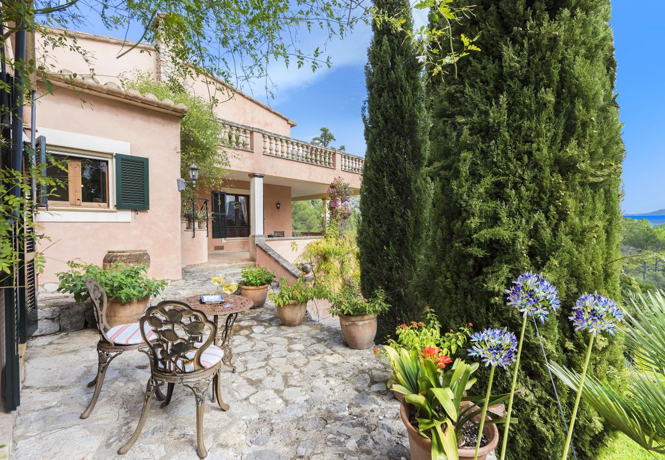 Terrace with garden 