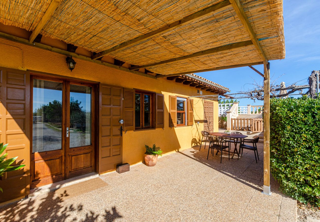 Villa in Lloseta - YourHouse Lemontree