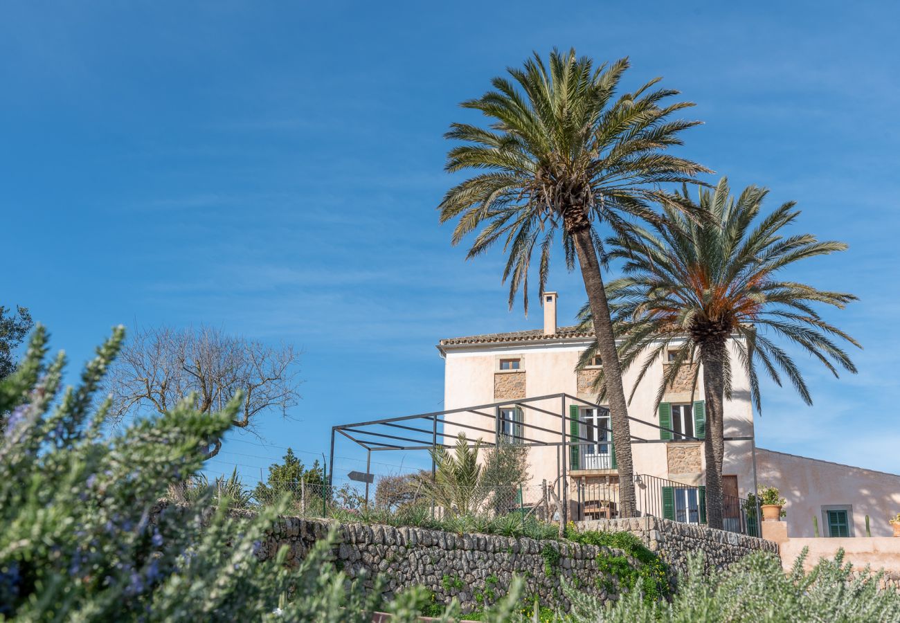 Villa in Arta - Finca Son Caminals