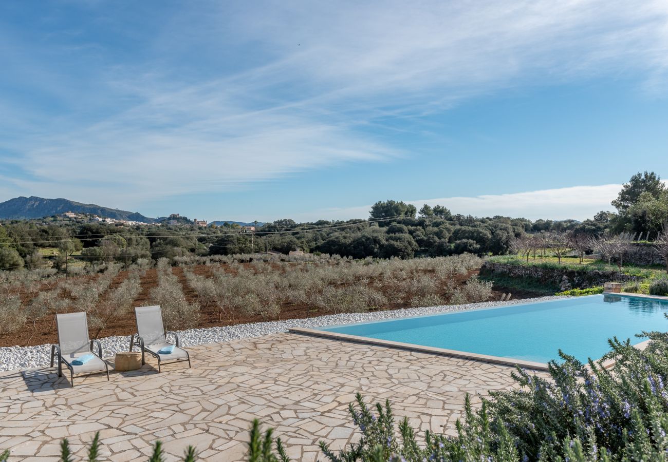 Villa in Arta - Finca Son Caminals