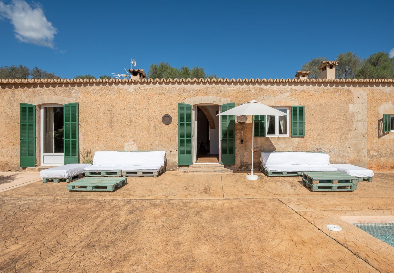 Landhaus in Manacor - Finca Cas Pastor (Cala Varques)