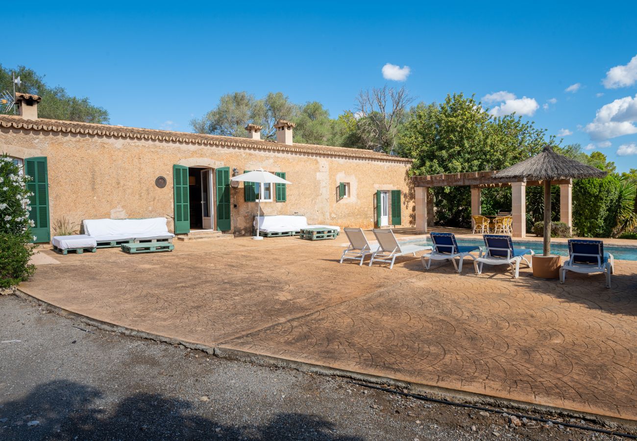 Landhaus in Manacor - Finca Cas Pastor (Cala Varques)