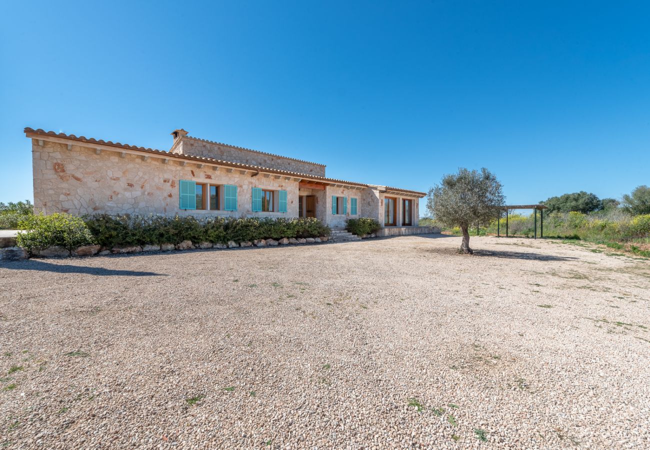 Villa in Felanitx - Finca Son Nou