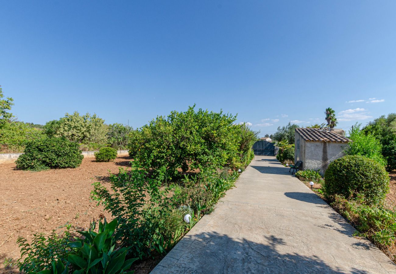 Villa in Buger - YourHouse Son Serra de Búger