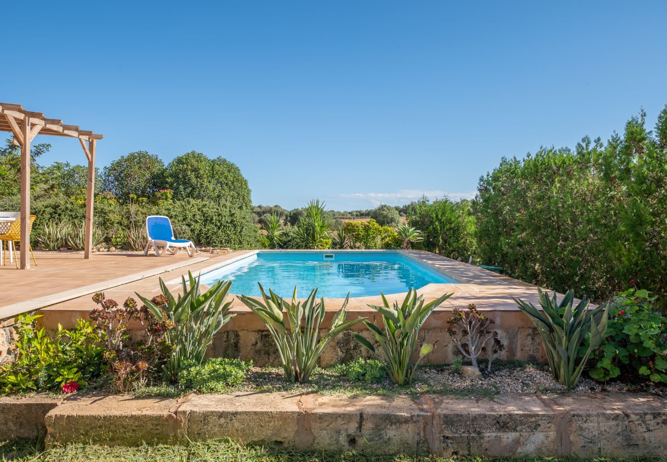 Landhaus in Manacor - Finca Son Ros