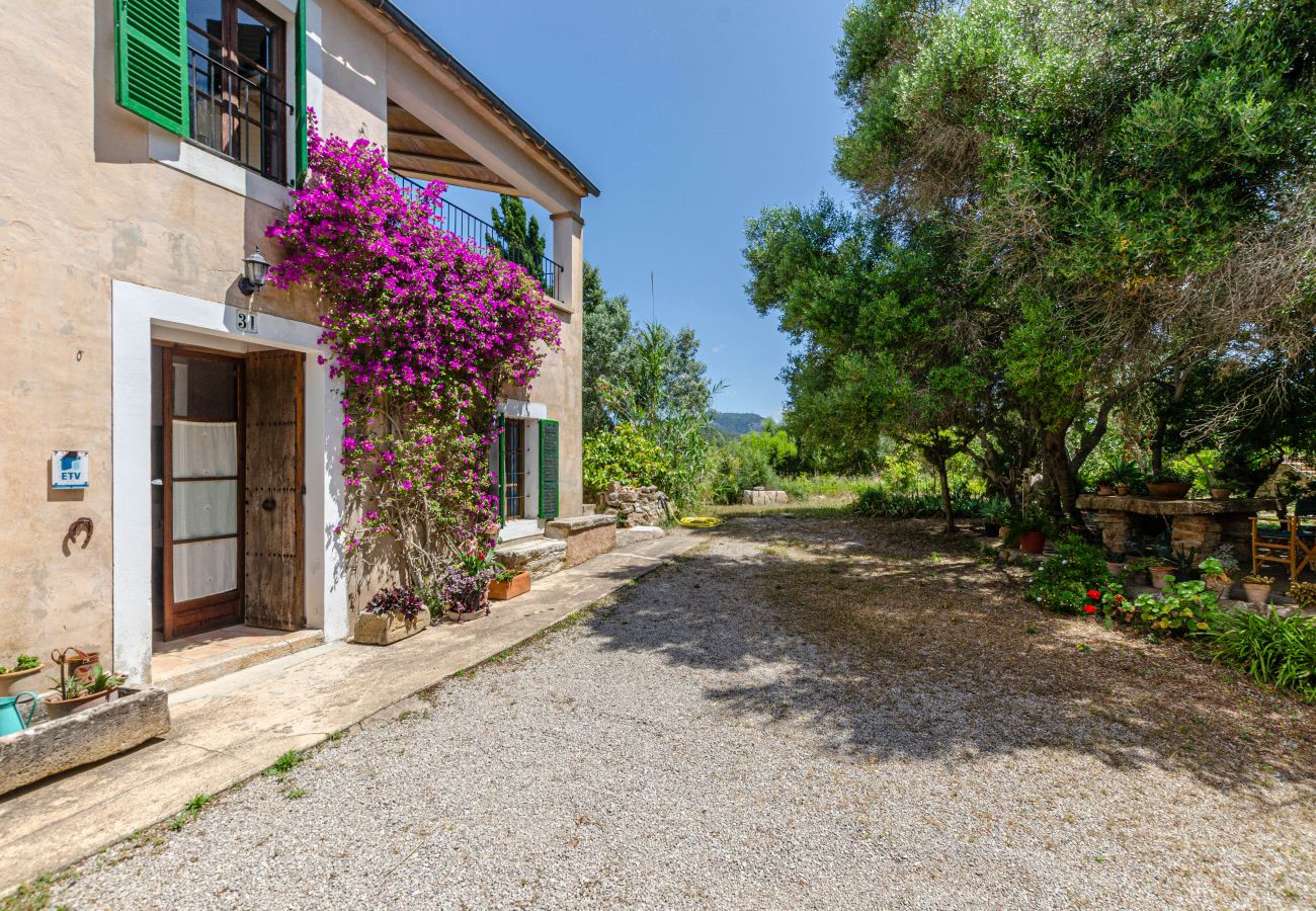 Villa in Felanitx - YourHouse Finca Es Galliner