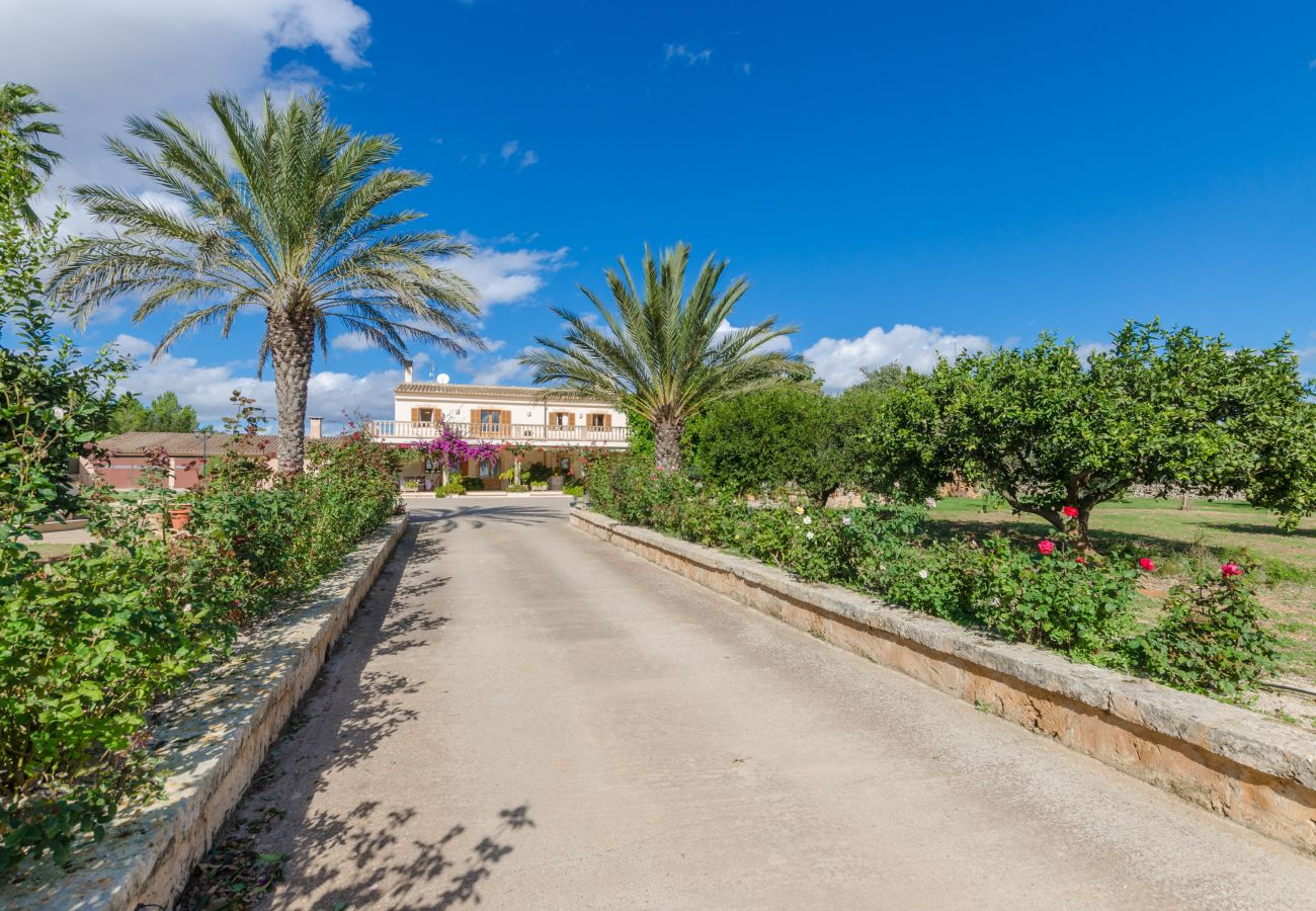 Villa in Ariany - YourHouse Sa Garriga Finca Darder