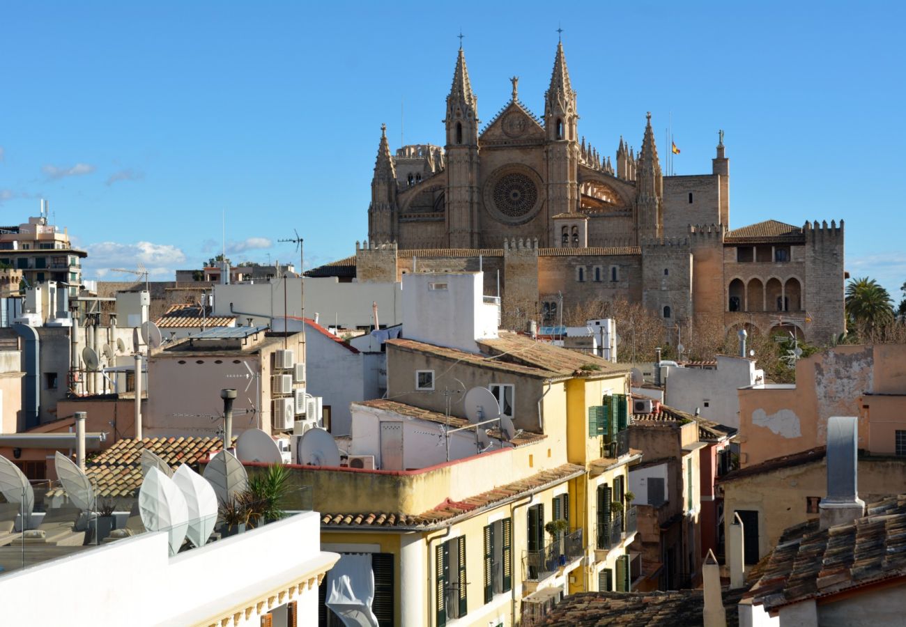 Ferienwohnung in Palma de Mallorca - Lonja Suites 4 white