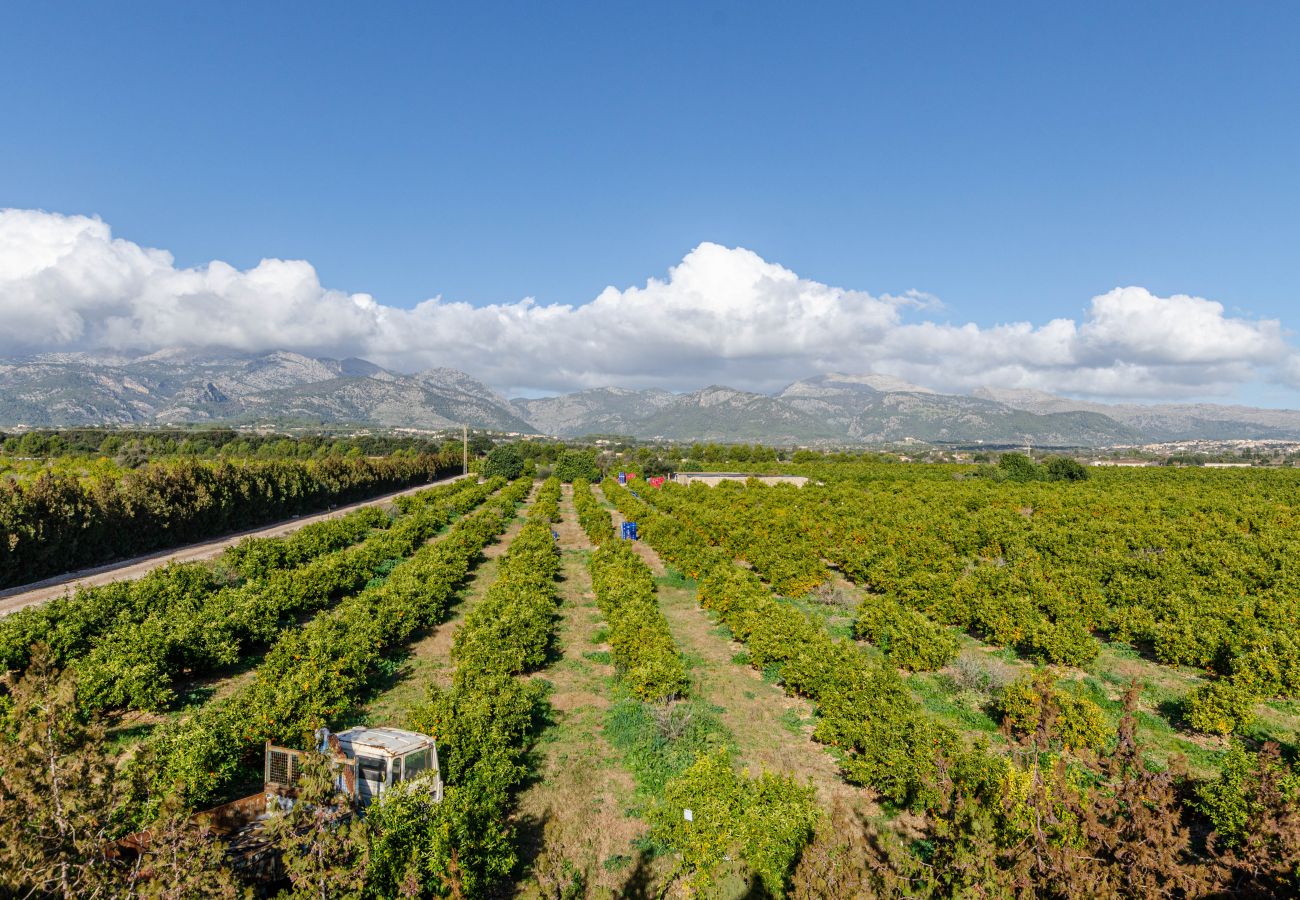 Ferienwohnung in Inca - Agroturismo El Limonar 1, YourHouse