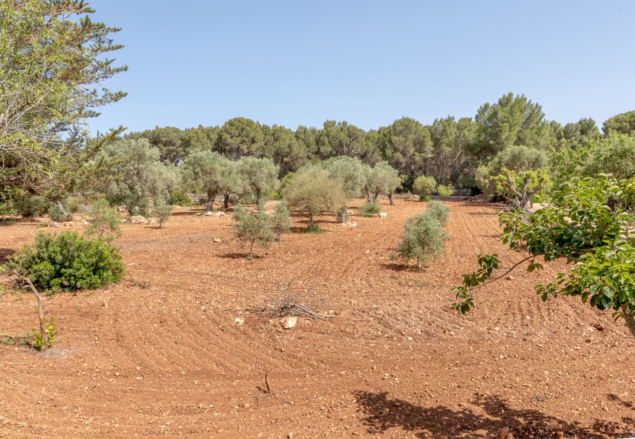 Ferienhaus in Cala Murada - Finca Aigo by Mallorca House Rent