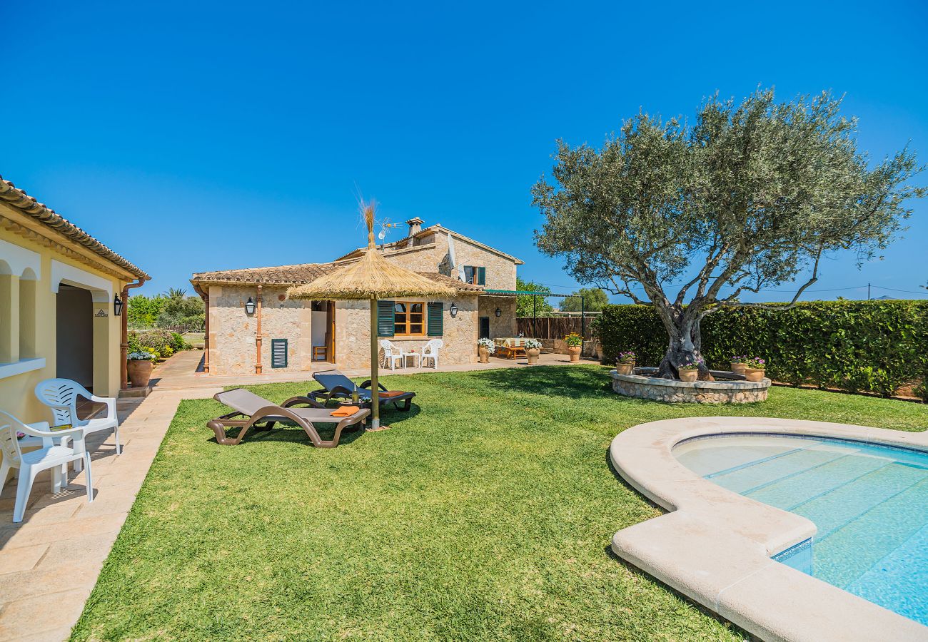 Villa in Pollensa / Pollença - PERICAS ALMADRAVA  Ref. VP33