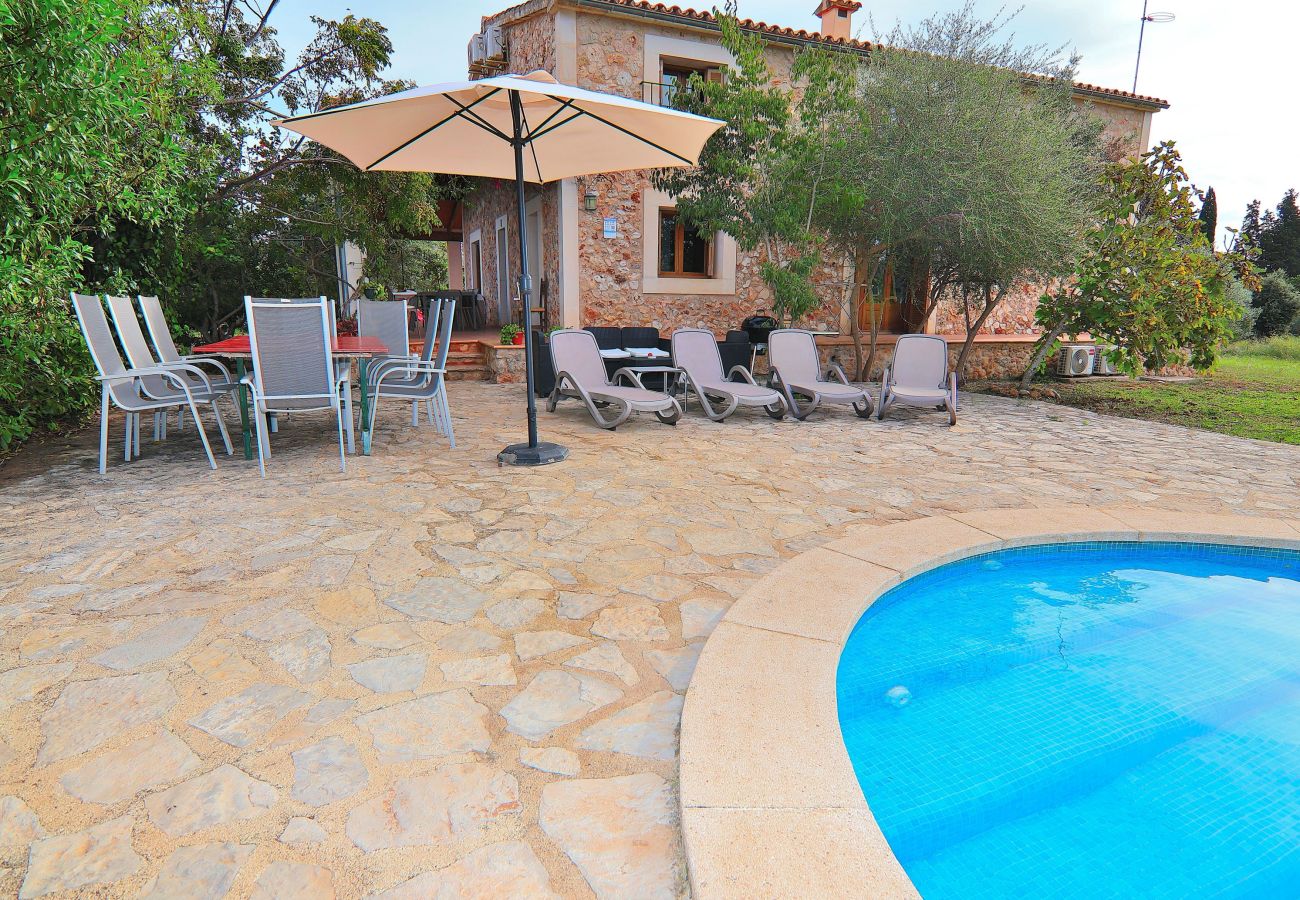 Terrace, swimming pool, blue, water, sun lounger, green, nature 