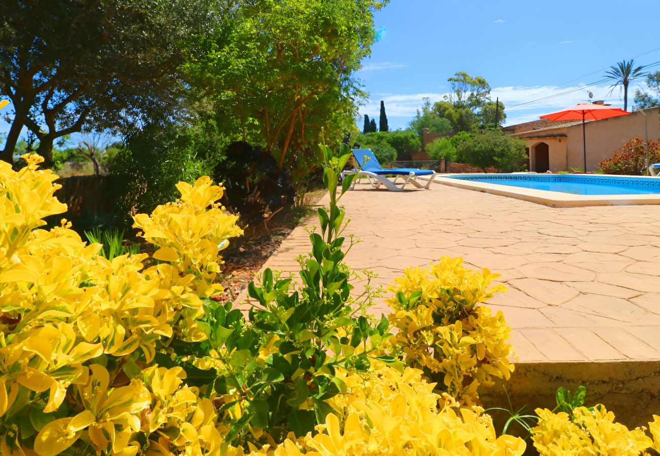 Country house in Es Llombards - 413 Finca Can Cova, ETV1361 by Mallorca Charme