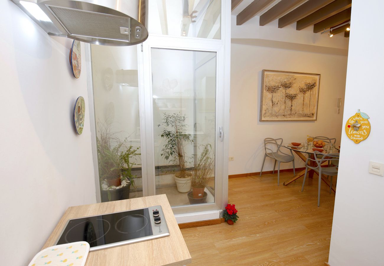 Apartment in Palma de Mallorca - Sant Miquel Homes Formentor